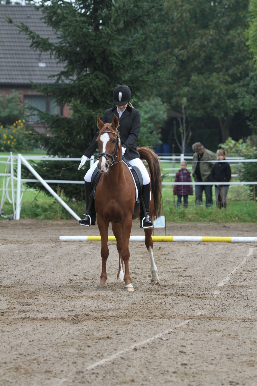 Bild 38 - WBO-Turnier am 18.9.11